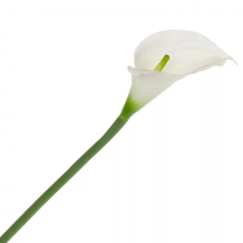 Калла белая. Цветок искусственный 33см каллы белый, бел-сир. Искусственные цветы. Искусственные каллы букет.