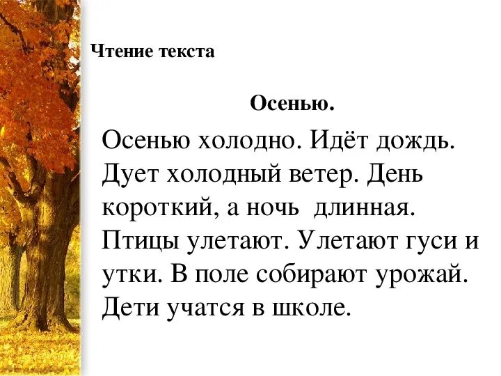 Текст описание про осень 3 класс. Маленький рассказ про осень. Сочинение про осень. Что такое осень текст. Текст описания осени