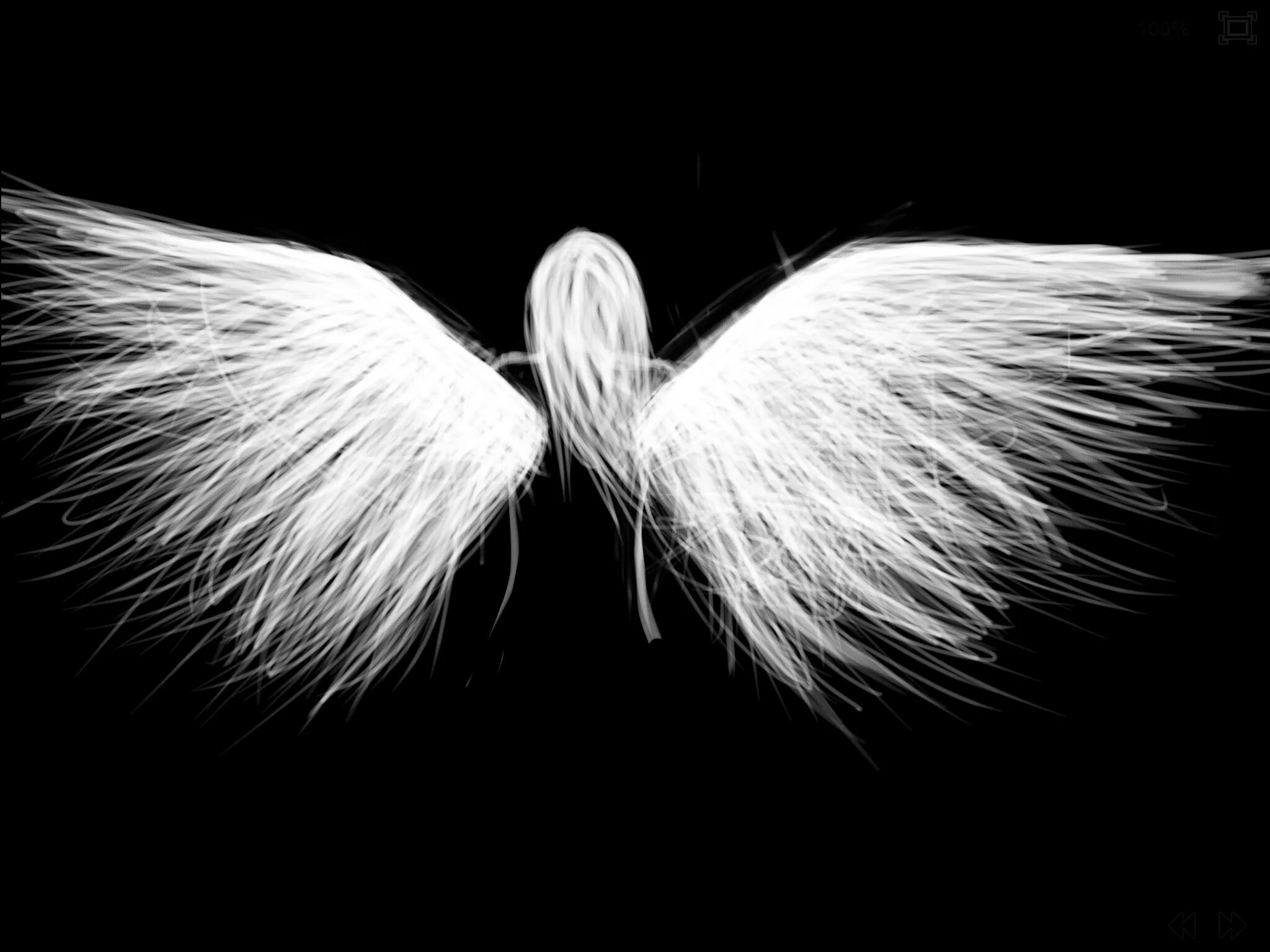 Крылья ангела. Ангел с крыльями. Ангел на черном фоне. Крылья ангела картинки. Крылья на черном фоне