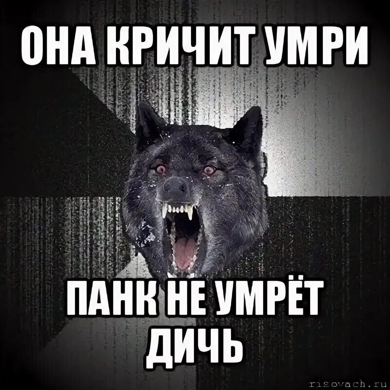Все равно умру я панком