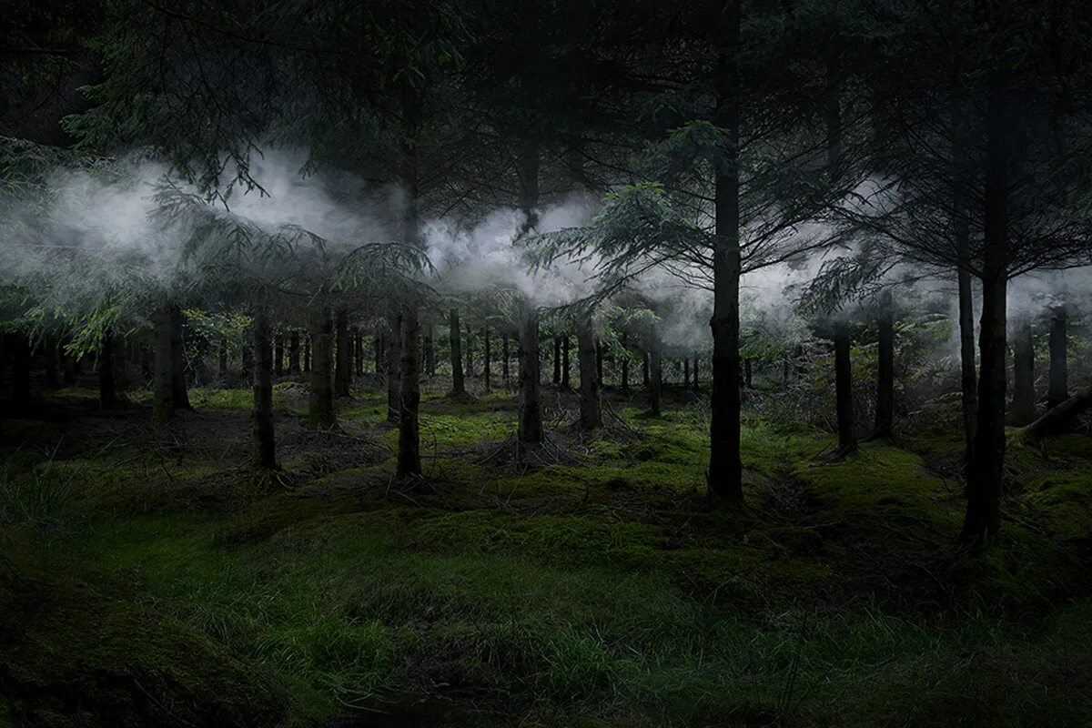 Please the trees