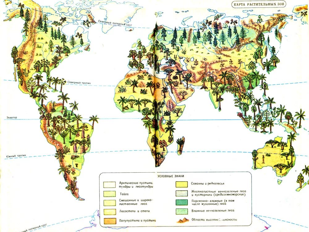 Растительная карта россии. Растения Евразии на карте. Типы растительности на карте. Карта растительных зон.