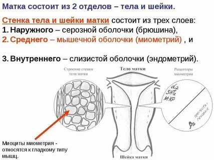 Маточные средства