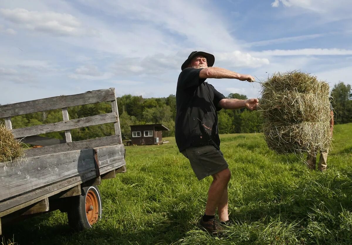 Переродившись в бедного фермера. Бедный фермер на поле кыргызстан. Ирландский фермер. Бедный фермер. Южноамериканский фермер.