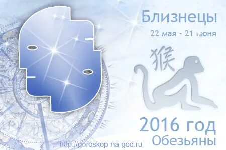 Близнецы в год обезьяны