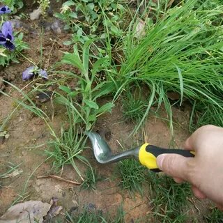 Для прополки грядок