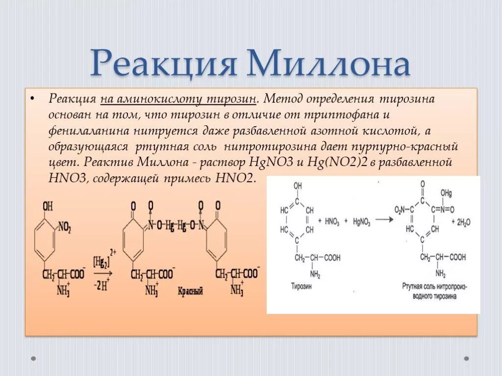 Белки с азотной кислотой. Реакция Милона тирозин. Цветная реакция на тирозин. Реакция на тирозин и белок. Реакция миллона на тирозин.