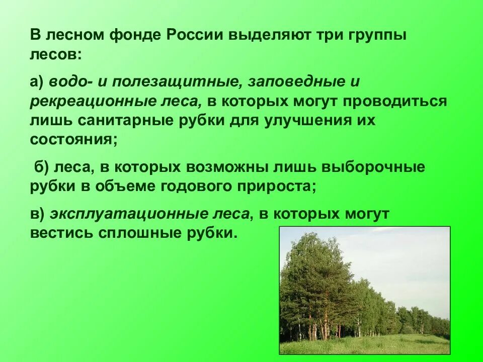 Какую работу выполняет лес. Лесное хозяйство презентация. состав лесного фонда. темы для презентаций лесного хозяйства. лесной фонд презентация.