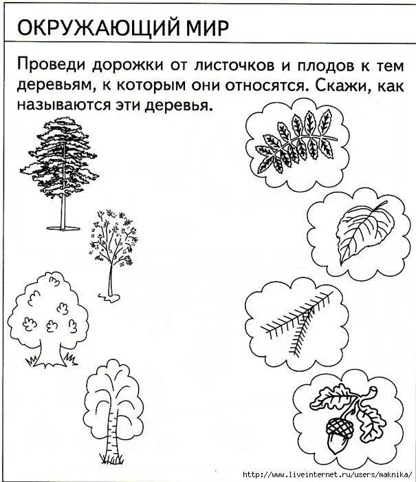 Ознакомление с окружающим миром цветы. Задание деревья для дошкольников 5-6 лет. Деревья задания для дошкольников. Деревья и кустарники задания для дошкольников. Деревья задаиядля детей.