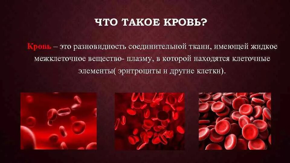 Слово чушпана кровь. Презентация на тему кровь. Кровь человека презентация. Кровь доклад.