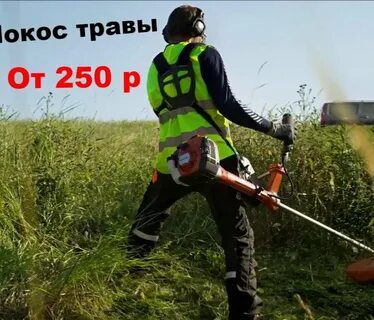Покос сотка