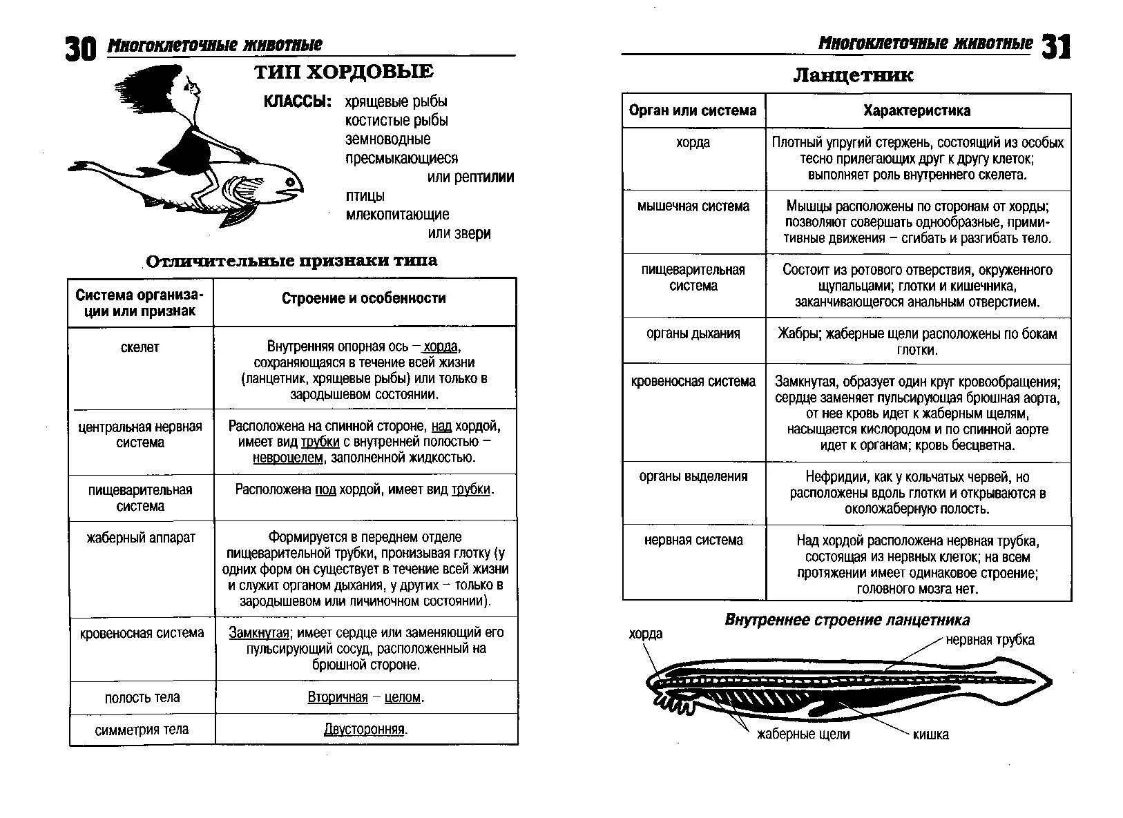 Биология тест тип хордовые. Таблица по биологии системы органов строение и функции у рыб. Внутреннее строение рыб таблица система органов органы функции. Таблица общая система органов хордовых. Внутреннее строение рыбы таблица система органов строение и функции.