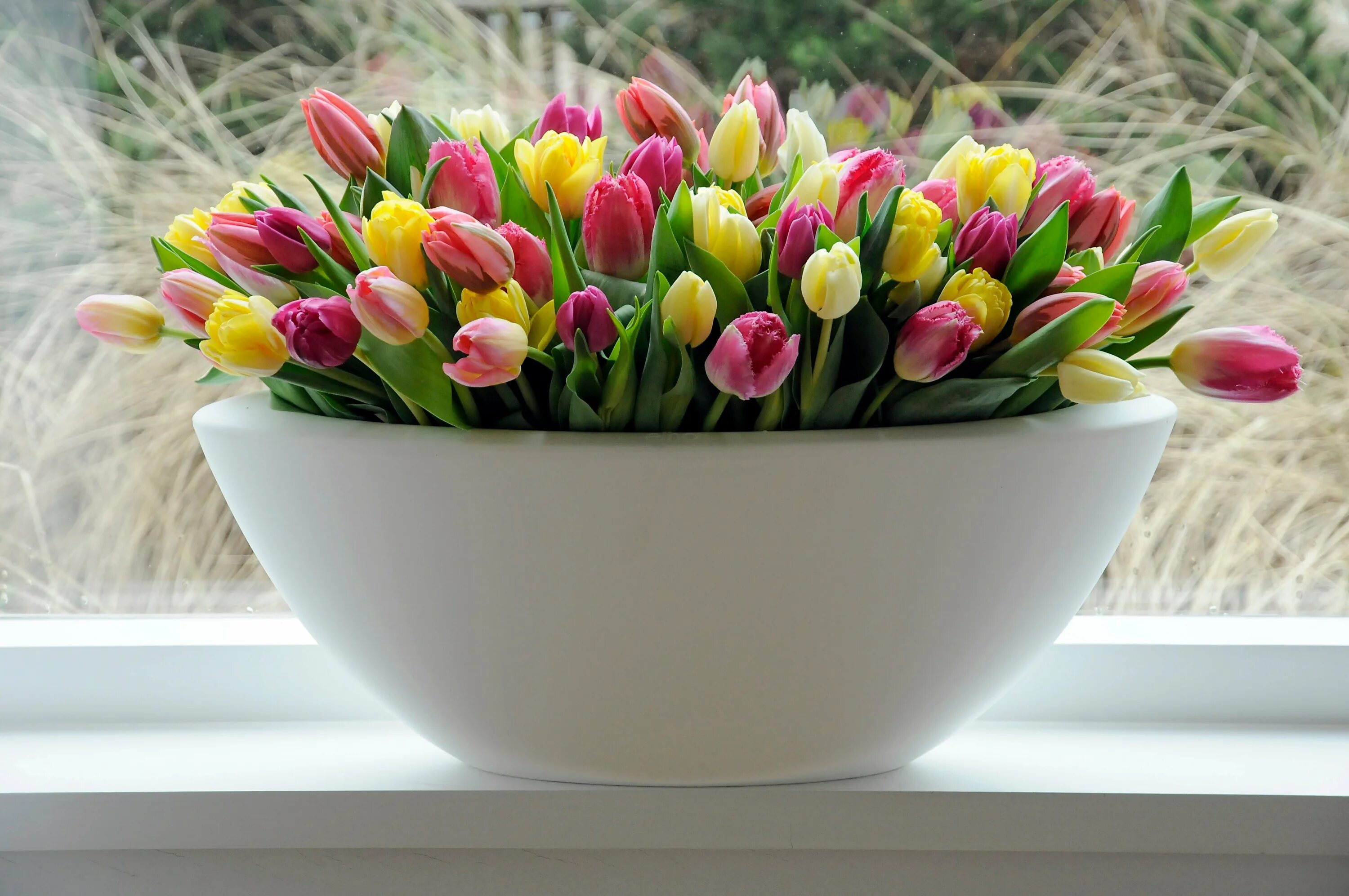 Картинки хорошего дня позитивные с пожеланиями весенние. Букет тюльпанов с добрым утром. Весенние тюльпаны. Весеннего настроения тюльпаны. Тюльпаны для настроения.