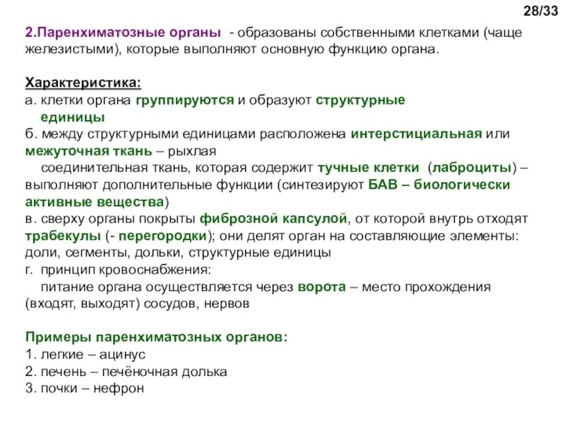 Органы выполняющие общие функции. Органы выполняющие общую функцию. Что образуют органы. Что образуют системы органов?. Функции паренхиматозных органов.