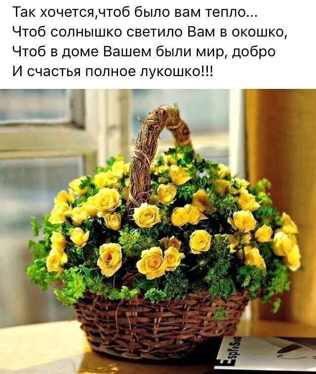 Хочется пожелать теплых. Цветы в корзине с пожеланиями доброго утра. так хочется чтоб было вам тепло. доброе утро душевного тепла. пожелания тепла и радости.