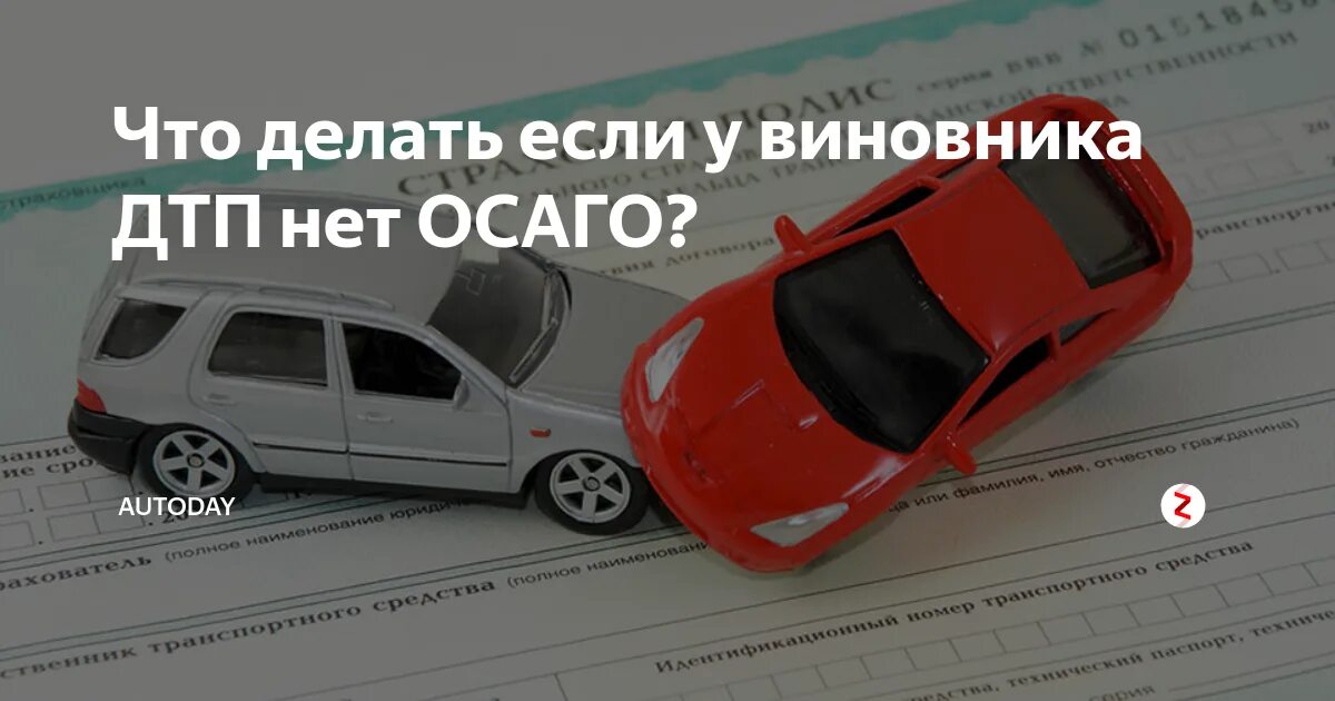 У участников дтп нет осаго. Если у виновника нет осаго. дтп без осаго. если у виновника дтп нет осаго. виновник дтп без осаго.