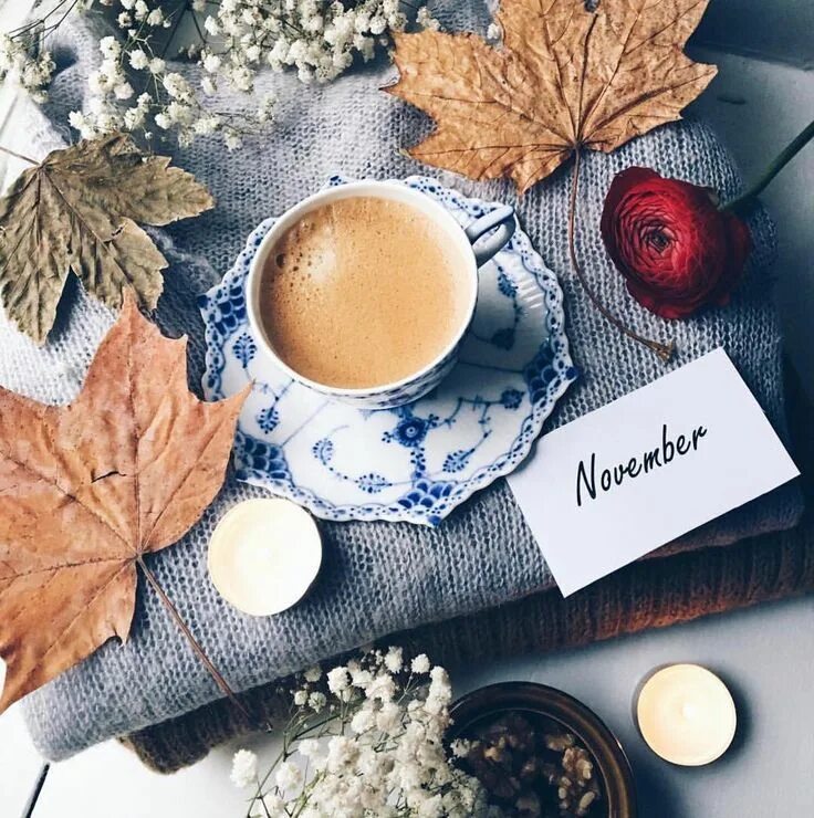 картинки креативные доброе утро ноябрь. художница-иллюстратор из италии синция болонези (cinzia bolognesi). доброе утро стильные. итальянская художница cinzia bolognesi. художница-иллюстратор cinzia bolognesi.