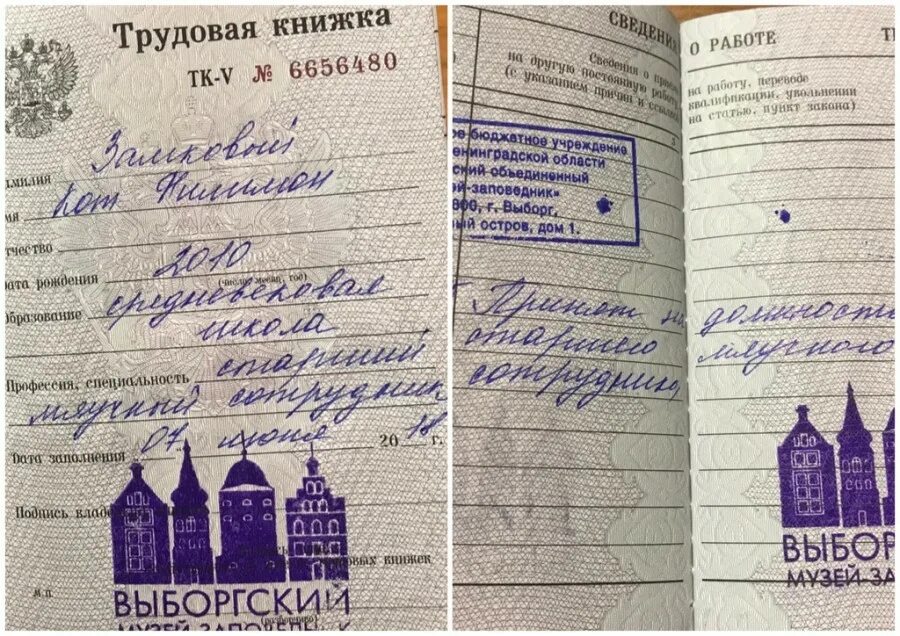 Трудовая книжка какую информацию содержит такой документ. Трудовая книжка. труд книжка. трудовая книга. трудовая книжка современная.