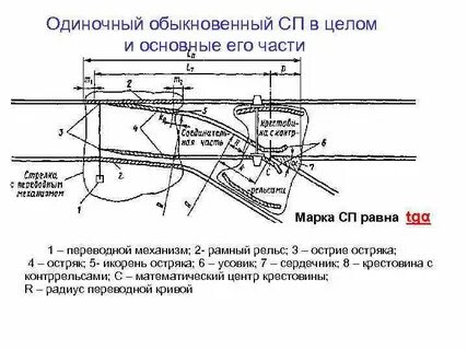 Остряк