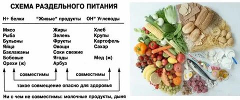 Углеводы жиры клетчатка