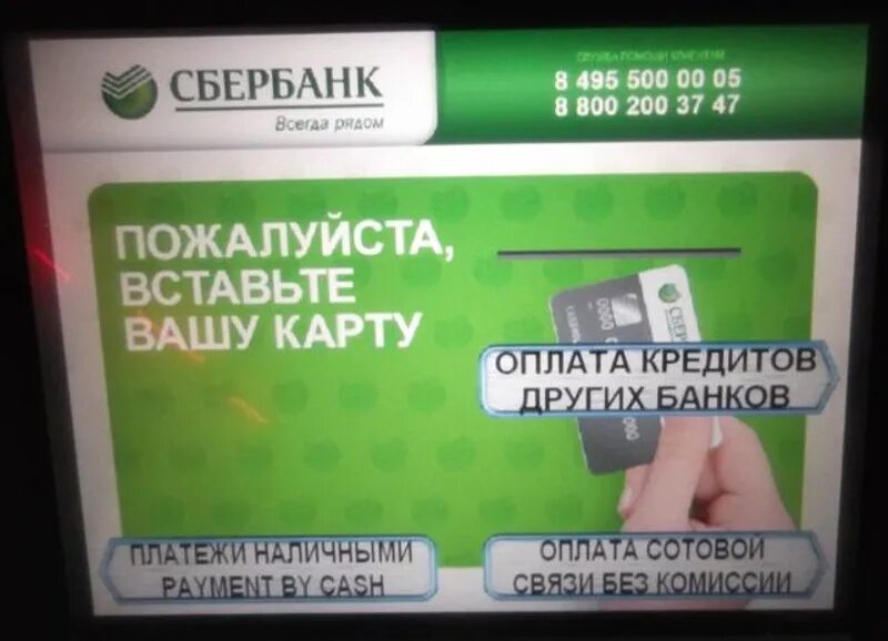 Реквизиты счета в банкомате сбербанка. Реквизиты сбербанка через терминал. Реквизиты карты в терминале сбербанка. Реквизиты карты через терминал сбербанк. Реквизиты карты сбербанка через банкомат терминал.