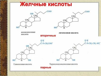 Желчные кислоты отзывы