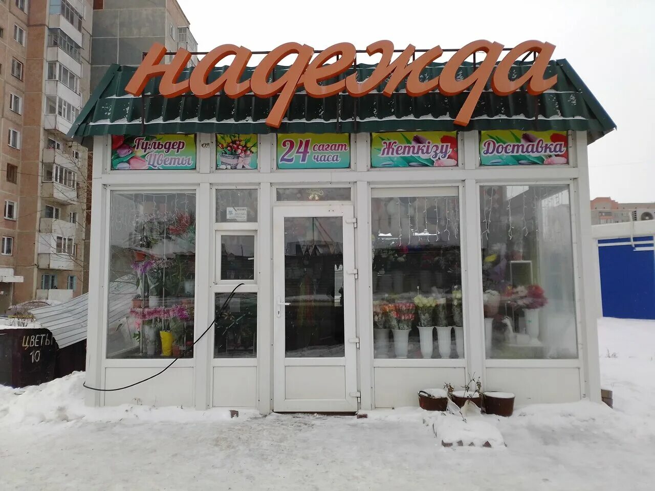 магазин подарки павлодар. павлодар горсад фото. особенные цветы павлодара. проспект нурсултана назарбаева, 21/1, павлодар. ткачева 5 павлодар.