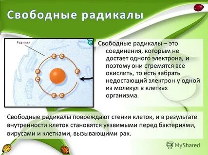 Какие частицы называются радикалами