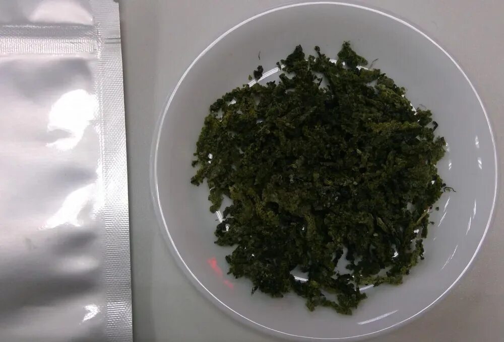Каулерпа (caulerpa lentillifera) – «морской виноград». Морской виноград водоросли. Морской виноград сахалин. Морской виноград. Фукус морской виноград.