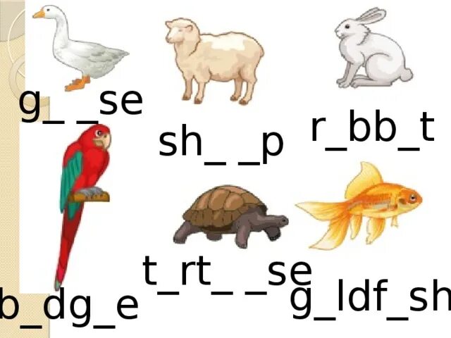 Spotlight 5 module 5 animals. Спотлайт 5 my Pet. Pets на английском 5 класс. Картинки для занятий английским my Pet. Урок my Pet 5 класс Spotlight.