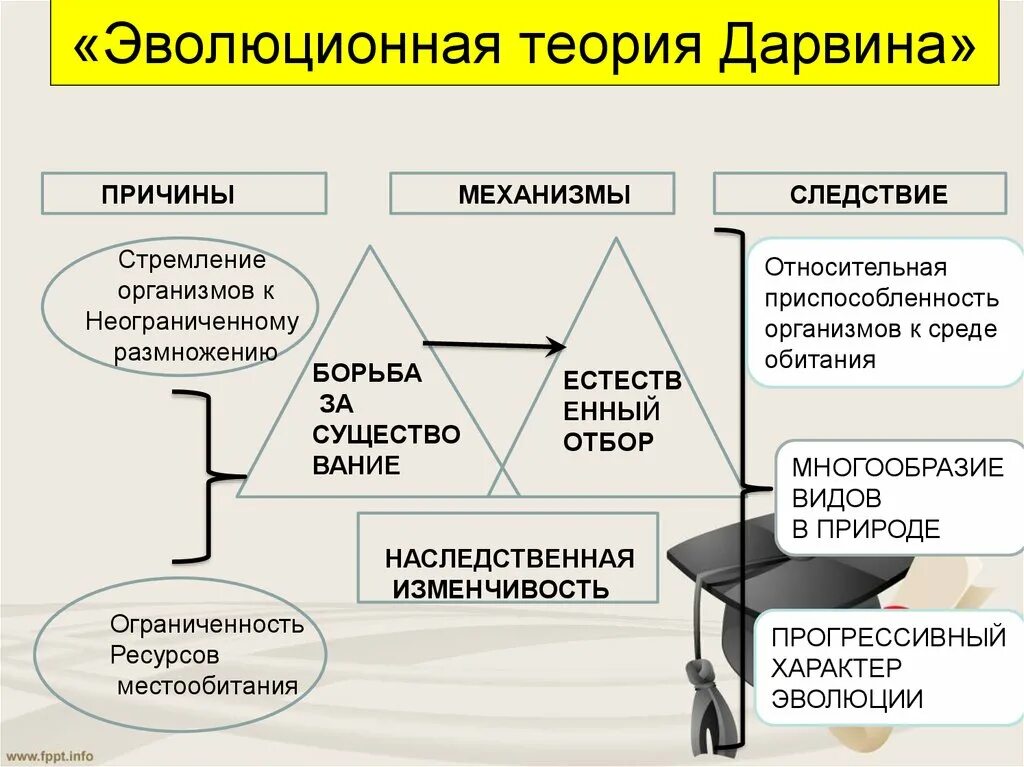 Гипотеза дарвина. Теория революции Чарльза Дарвина кратко. Теория ч Дарвина кратко. Теория эволюции Дарвина. Эволюционная теория ч Дарвина.