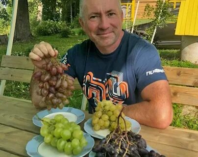 Виноград беларуси