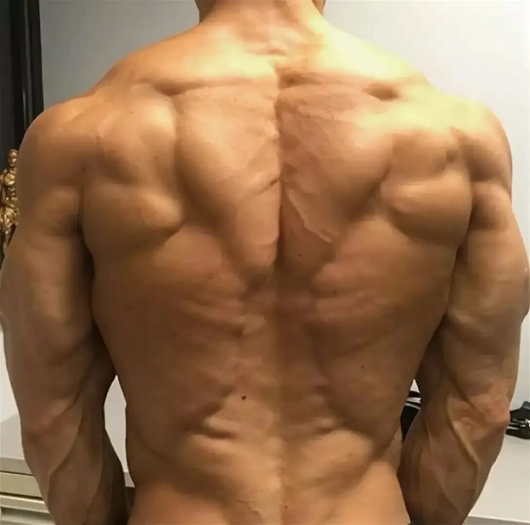 Широкая спина. Рельеф широчайшей. Рельеф широчайшей. Мужчина со спины. Накаченная спина мужская.