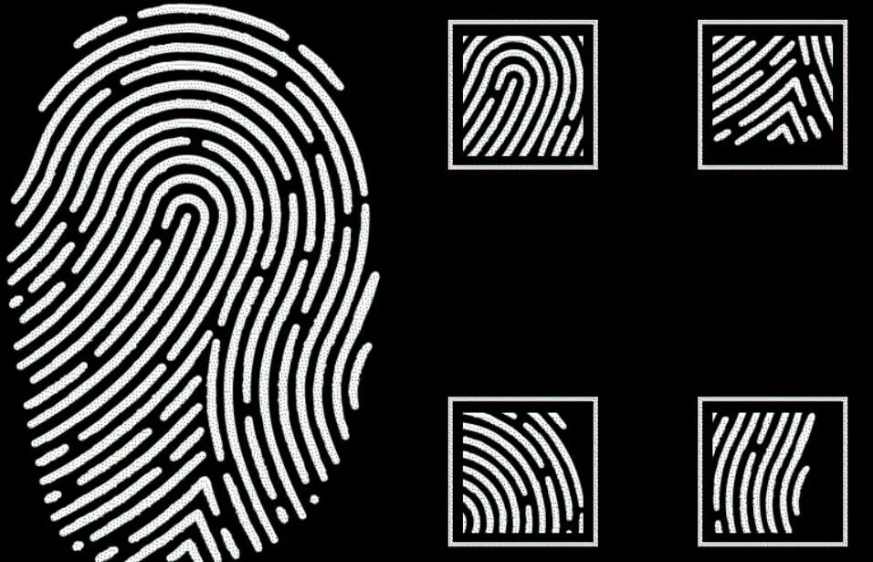 Sectionname ru настройки отпечатков профилей en fingerprints. Отпечаток пальца ГТА 5. Отпечатки пальцев казино Даймонд. Отпечатки пальцев ГТА 5 ограбление. GTA 5 казино Отпечатки.