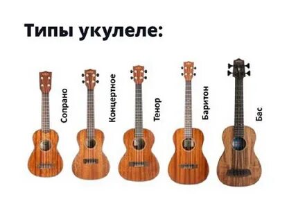 Какие бывают гитары