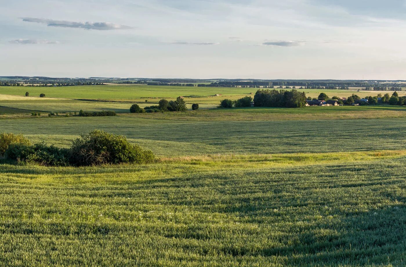 Старые равнины. Восточно европейская ровнина. Равнинно холмистый рельеф. Равнины россии. Паданская долина.