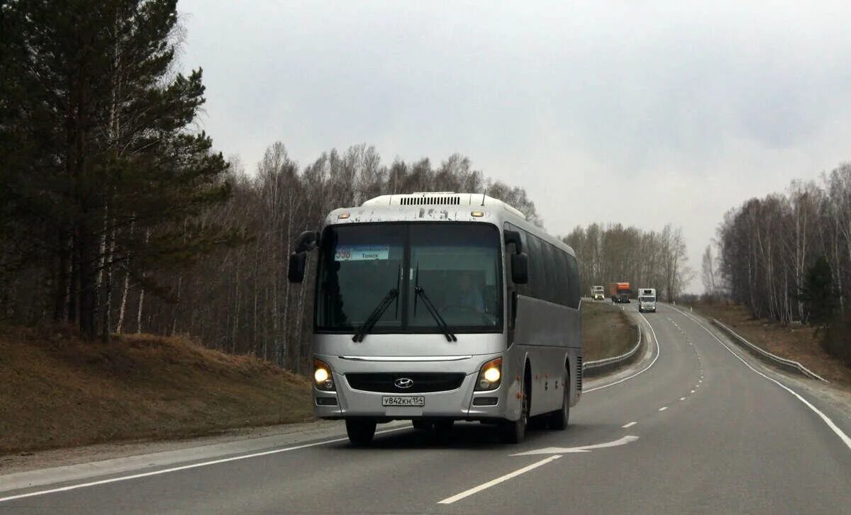 Автобус Новосибирск Томск автовокзал. Автобус Колпашево Томск хёндай. Автобус 599 Новосибирск Томск. Хундай универс автобус.