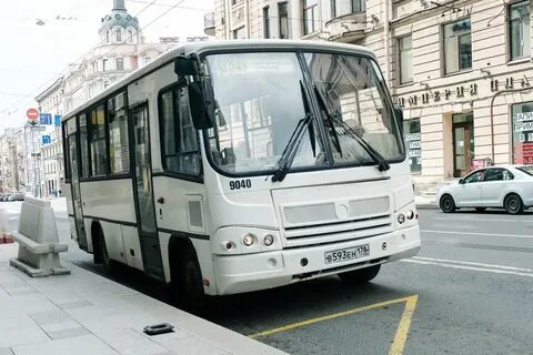 Автобус 8 спб