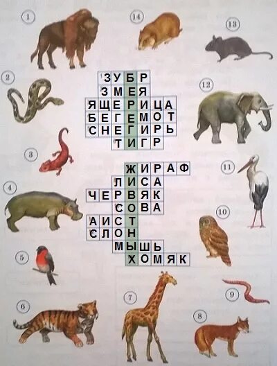 самый распространенный кроссворд. сложный кроссворд с ответами. самый распространенный кроссворд. музыкальный кроссворд с вопросами. кроссворд по компьютеру.