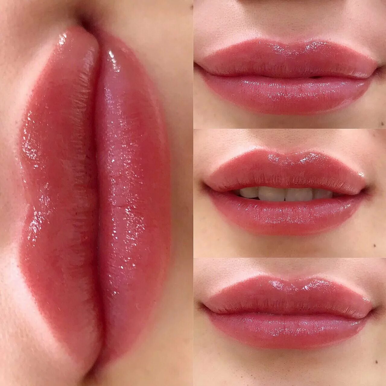 палитра перманента для губ. пигменты для перманентного макияжа губ цвета. перманент губ чайная роза. перманент губ оттенки палитра. палитра цветов перманента губ.