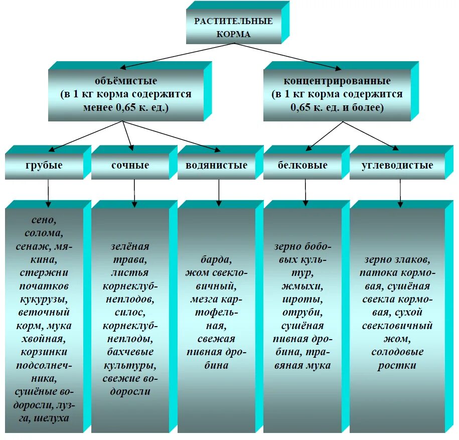 Основные группы растительных кормов. Классификация растительных кормов. Классификация кормов для КРС. Корма для сельхоз животных классификация. Классификация кормов грубые корма сочные корма.