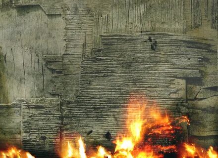 Burnt wood
