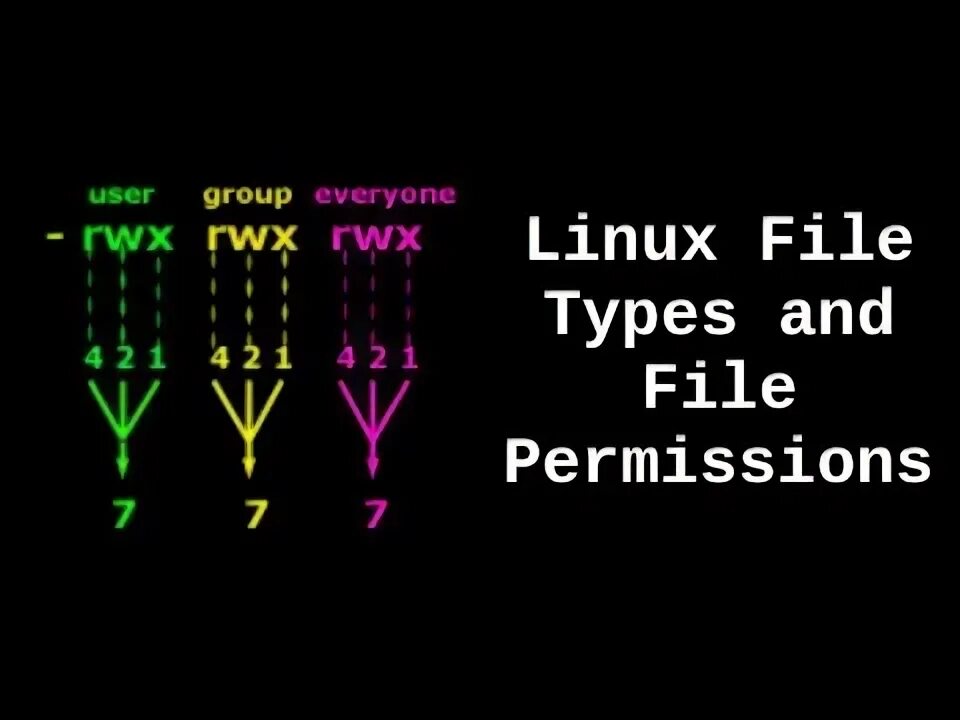 Directory permission linux. Linux file types. linux file permissions.