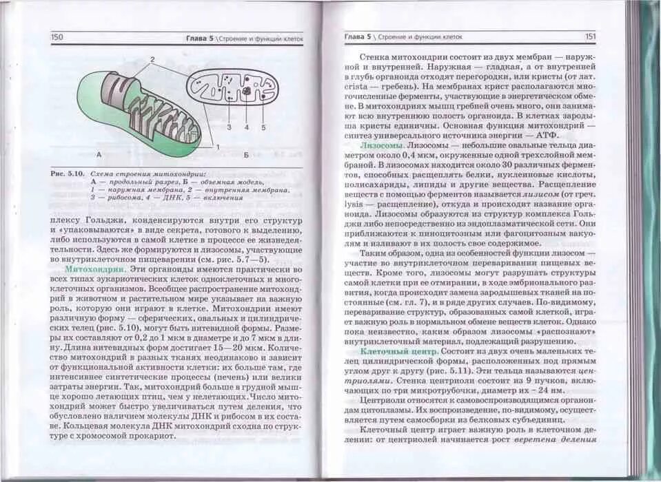 Темы по биологии 10 11. Биология 10-11 класс учебник. Биология 10 класс учебник. Учебник по биологии за 10 класс.