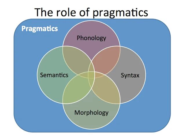 Pragmatics. Pragmatic Linguistics. Lingua Pragmatics. Pragmatics examples. This your role