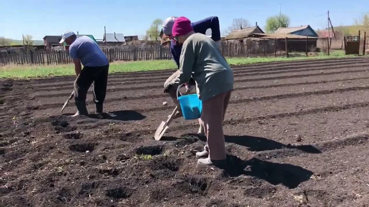 Деревня уборка. Деревня уборка