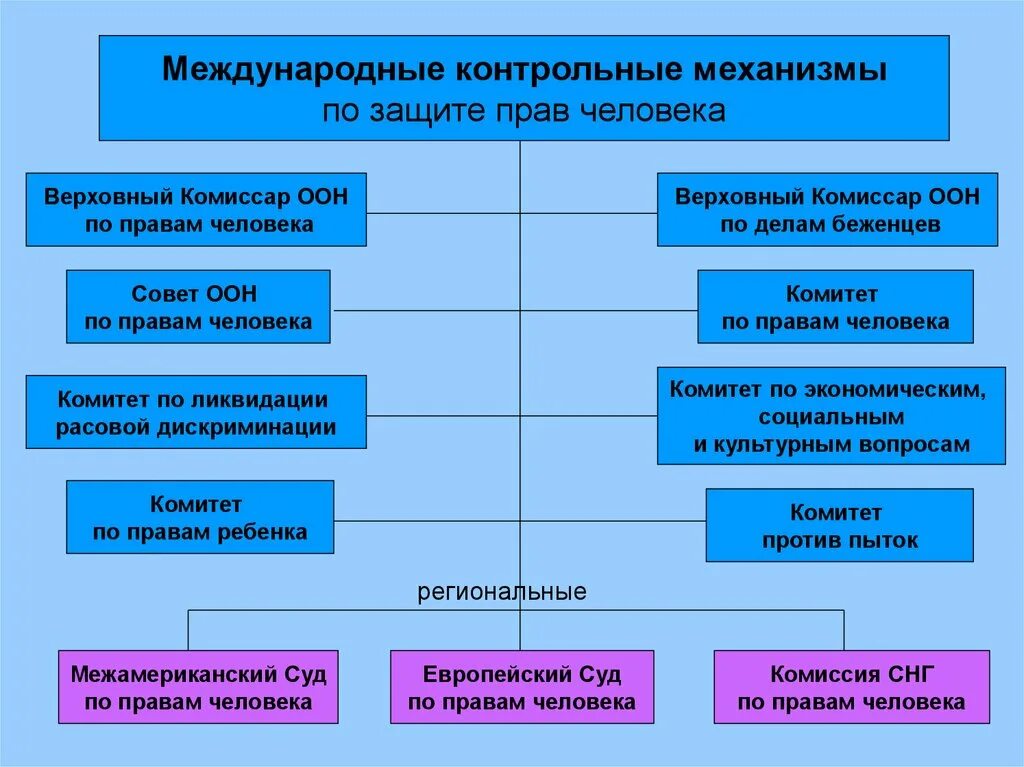 Международно правовая защита человека