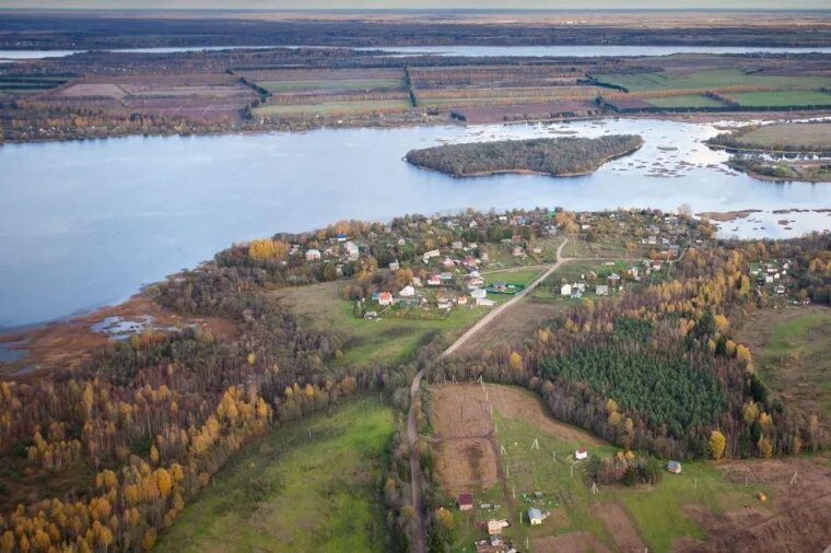 Деревня брод Лужский район. Лужский р-он деревня новый брод. Деревня новый брод. Брод (Ленинградская область).