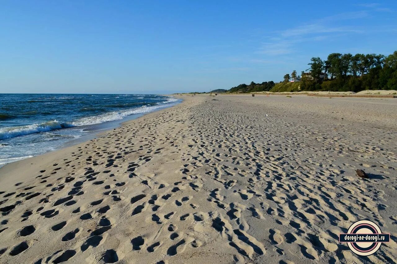 Лучшие пляжи калининграда. Пляж янтарный калининградская область. Балтийский пляж в калининграде. Балтийск калининградская область пляж. Балтийское море калининград пляж.