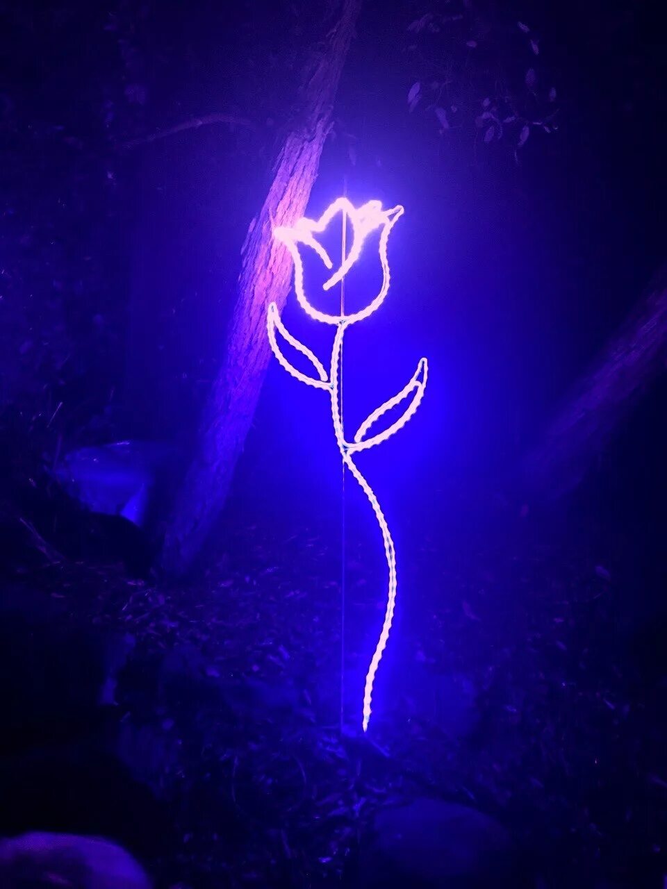 Светящийся розовый. Светящиеся палочка розовая. Светящийся розовый. Сиреневый неон. Фиолетовый неон.